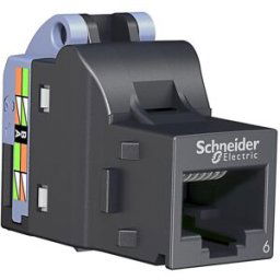 Schneider Electric Actassi S-One Dpm Kat 6 Utp Modularjack Oskärmad 12 St., Dator & Surf
