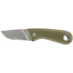 Gerber Vertebrae - Sage