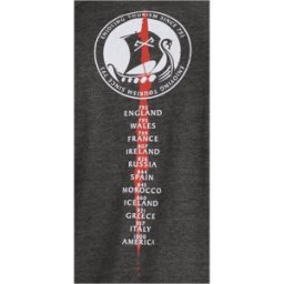 Ragnar Raids Aesir Tour T-Shirt (Färg: Grå, Storlek: Medium)