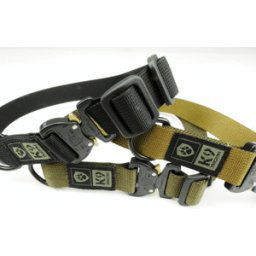 K9 Thorn Cobra One Hundhalsband 25mm (Färg: Svart)