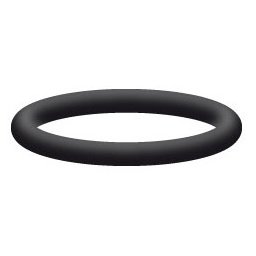 O-ring