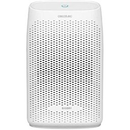 Cecotec BigDry 2000 Essential