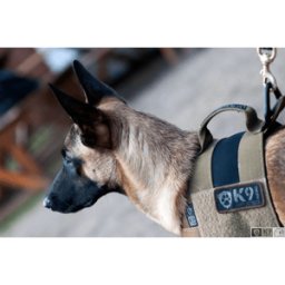 K9 Thorn Hundsele Alpha (Färg: Oliv, Storlek: XL)