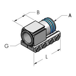 Ap36 inv. g1" bsp