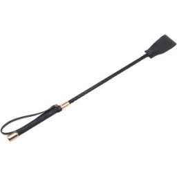 Chisa Toys Behave Mischief Crop