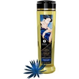 Shunga Massage Oil Seduction Midnight Flower
