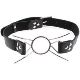 Fetish Fantasy FF Spider Gag