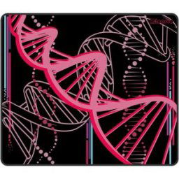 X-Raypad Minerva Dna Gaming Musmatta - Rosa - Xl