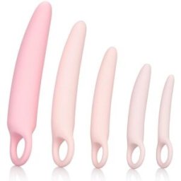 California Exotic Novelties Inspire Silicone Dilator 5 Pcs Set Pink