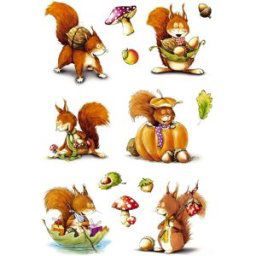 Herma stickers Decor ekorrar (3) 10st