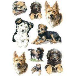 Herma stickers Decor hundar (3) 10st