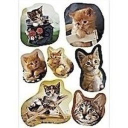 Herma stickers Decor kattungar (3) 10st