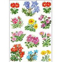 Herma stickers Decor blommor (3) 10st