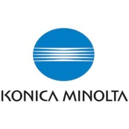 Toner KONICA MINOLTA A202051 17,5K svart