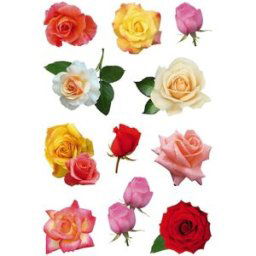 Herma stickers Decor rosor (3) 10st