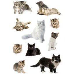 Herma stickers Decor katter (3) 10st