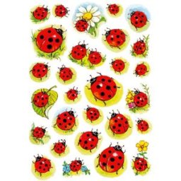 Herma stickers Decor nyckelpiga/blommor (3) 10st
