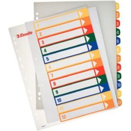 Plastregister Plast ESSELTE Projektindex A4+ 1-12