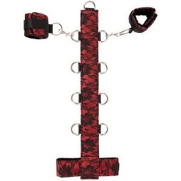 Bad Kitty Collar Red