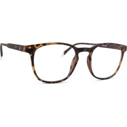 Barner Screen Dalston Tortoise