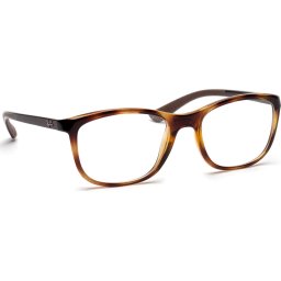 Ray-Ban 0RX7169 2012