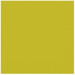 Duni Servett D1-lags 33x33cm Kiwi, 500st