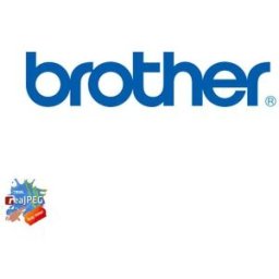 Brother CSRE001 scanner carrier sheet