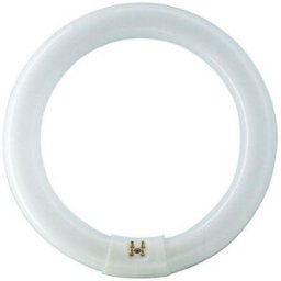 Philips Master Tl-E Lysrör Cirkel, 22 W, 1300 Lm, Belysning