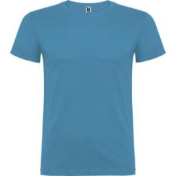 T-shirt PF beagle herr turkos L