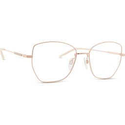 Pierre Cardin P.C. 8876 DDB 17 53