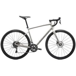 Specialized Diverge E5, 58, BIRCH/WHITE MOUNTAINS