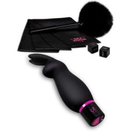 Dream Toys Sex Room Raunchy Kit