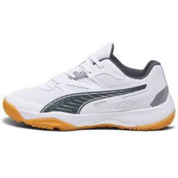 Solarflash II Indoor Shoes Junior, 38,5, PUMA White-Shadow Gray-Gum