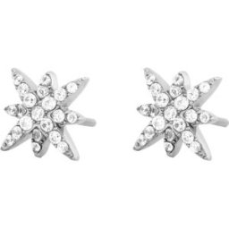 Edblad Polaris Studs S Steel Stjärnörhängen 126114