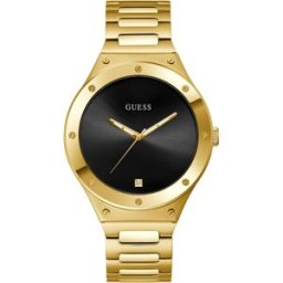 GUESS Scope GW0427G2