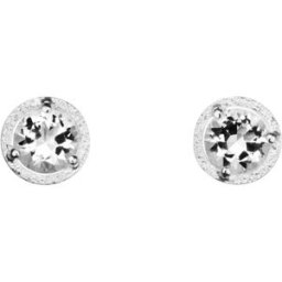 Tammi Jewellery S4480 Pretty örhängen