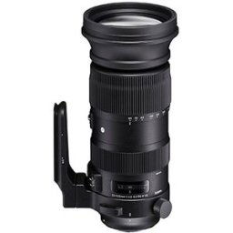 Sigma 60-600mm f/4,5-6,3 DG OS HSM Sports, till Nikon F