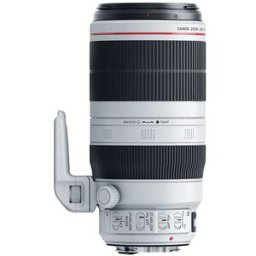 Canon EF 100-400mm f/4,5-5,6L IS II USM
