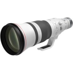 Canon RF 600mm f/4L IS USM (fullformat)