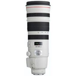 Canon EF 200-400mm f/4 L IS USM Extender 1,4x