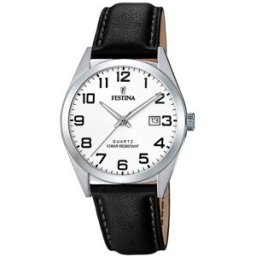 Festina Classic F20446/1