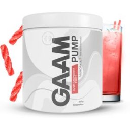 Gaam Pump Pwo 300 G