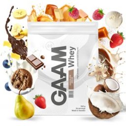 Gaam Whey Proteinpulver 900 G