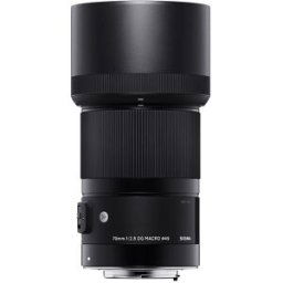 Sigma 70/2,8 DG Macro Art L-Mount