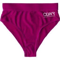 ColourWear Women's High Waist Bikini Bottom Purple XS