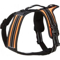 Feel Active Sport Sele Orange (S)