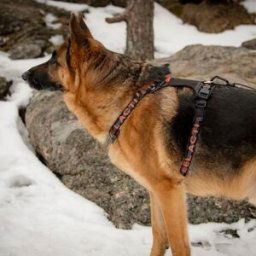 Feel Active Outdoor Hundsele med Ficka Svart (S)