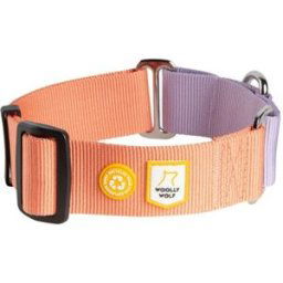 Woolly Wolf Color Block Hundhalsband Halvstryp Rosa (S)