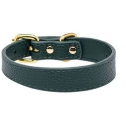 Collar of Sweden Smalt Hundhalsband Mörkgrönt (S)