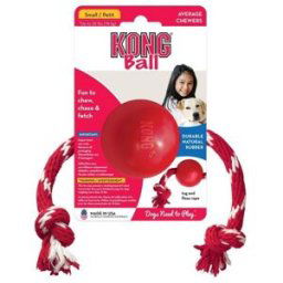 KONG Boll med Snöre S